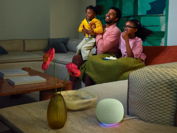 Google Home Speaker Google Home Speaker