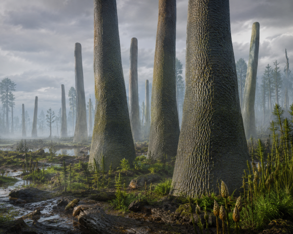 Prototaxites