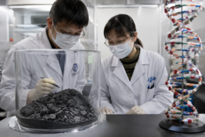 Ryugu Asteroidi Yaşamın Temel Harflerini Taşıyor: DNA ve RNA’nın Beş Bileşeni Bir Arada Bulundu